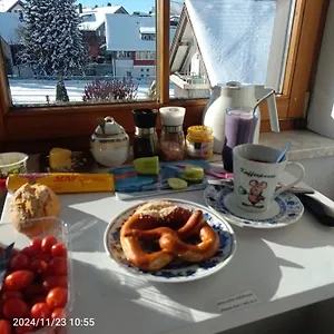 Apartment Allgaeu Vibes - Fusslaeufige Erreichbarkeit Vom Bahnhof, Echte Flatrate Fuer Internet Festnetz, Mit Aussicht, Wettergeschuetzter Balkon, Oberstaufen